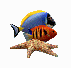 3D水族馆屏保(水族馆屏保)V3.1 汉化注册版