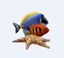 Marine Aquarium【热带鱼水族箱屏保】v3.3 汉化注册版