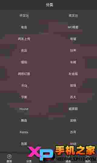 DJ多多(社会摇)
