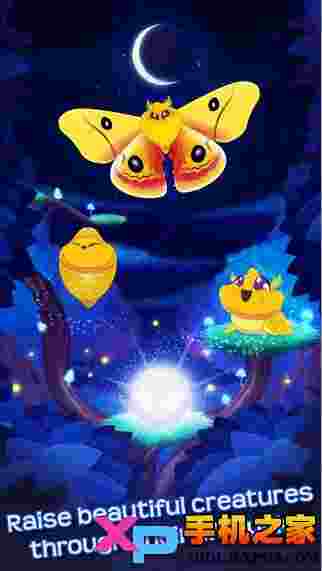 蝴蝶之星夜
