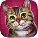 CatHotel