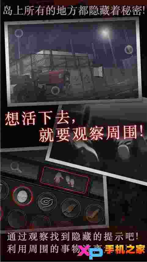 白岛2