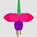 Fuchsia系统