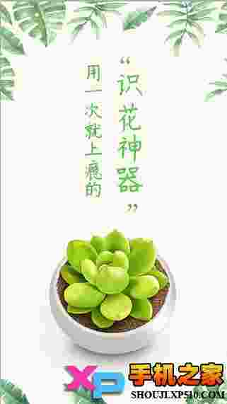 形色