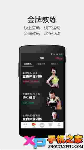 型动