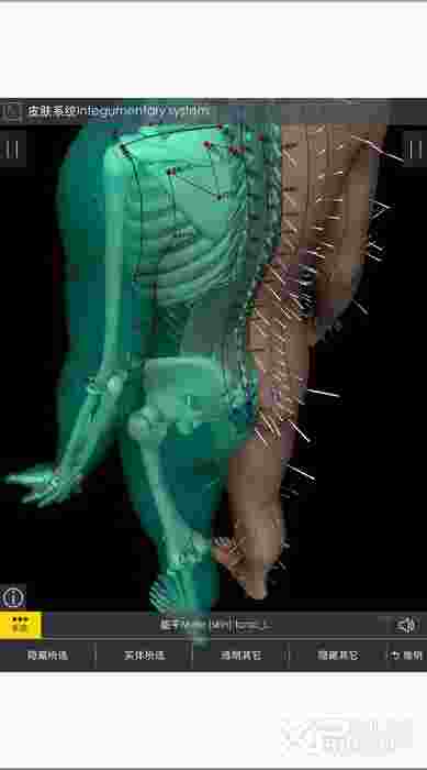 3Dbody解剖ios版