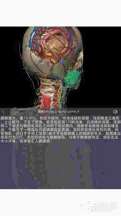 3Dbody解剖ios版