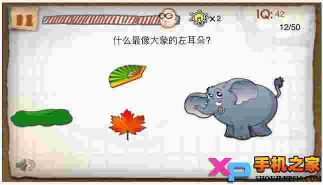 IQ测试