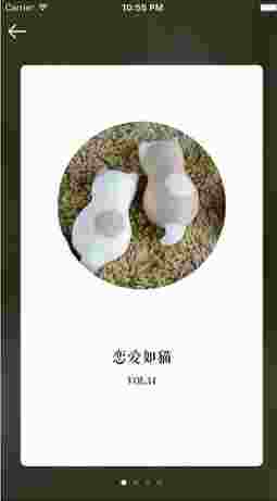 传情