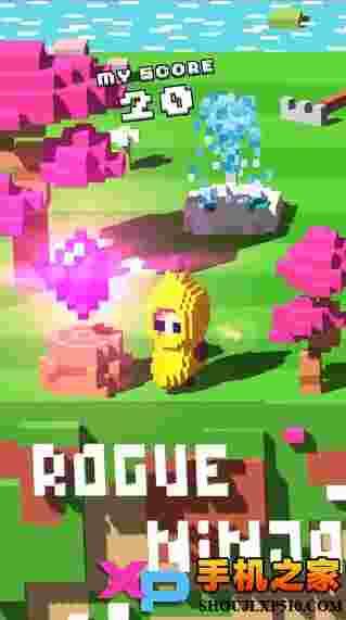 流氓忍者(Rogue Ninja)