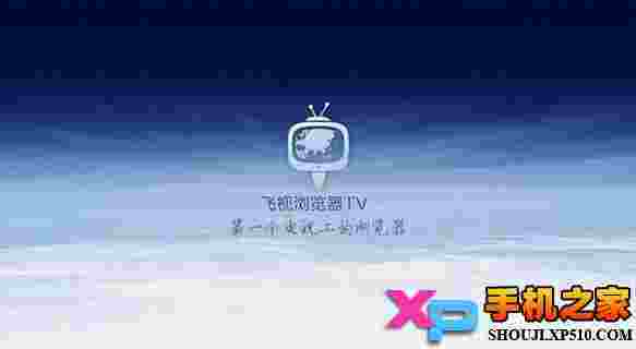 飞视浏览器TV版