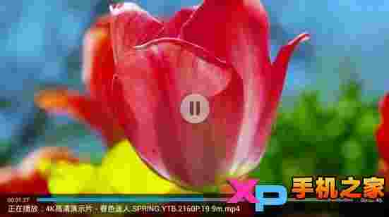 暴风影音TV本地飞屏版