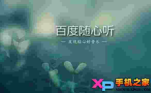 百度随心听TV版