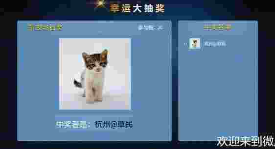 56iq微屏幕TV版