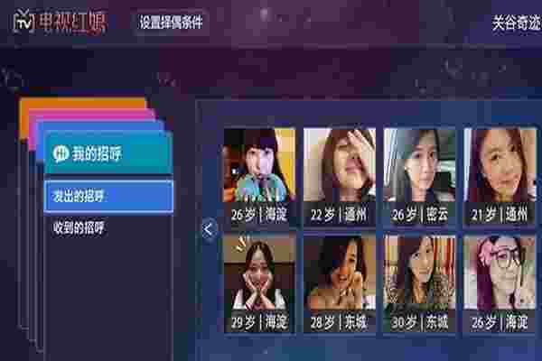 欢姻缘TV版