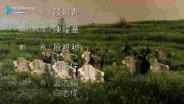 阿狸直播TV版