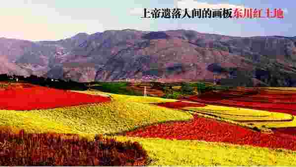 杰兔画报TV版