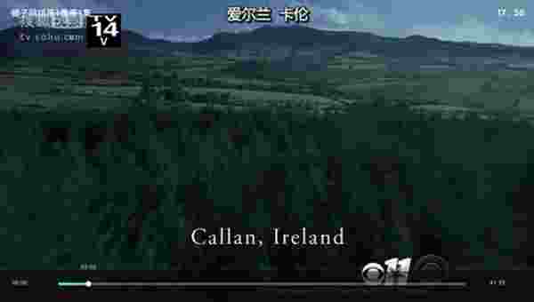 搜狐电视助手TV版