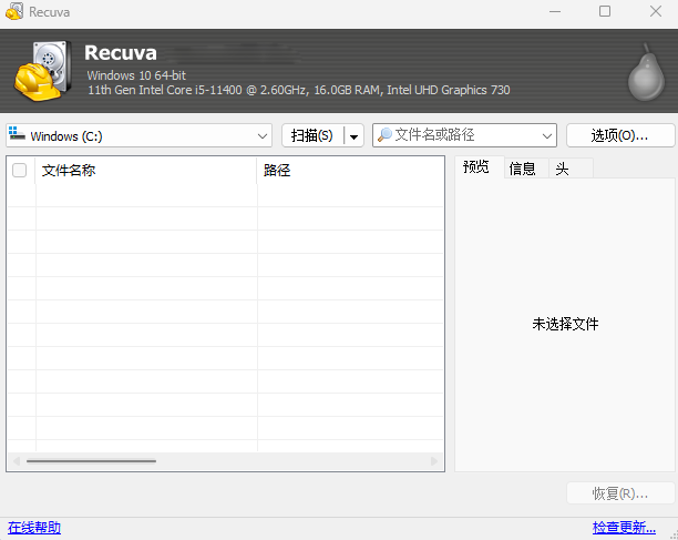 Piriform Recuva x32