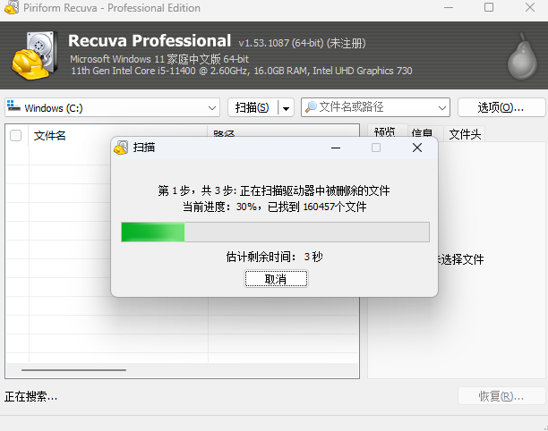 Recuva Professional