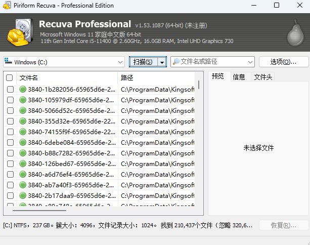 Recuva Professional