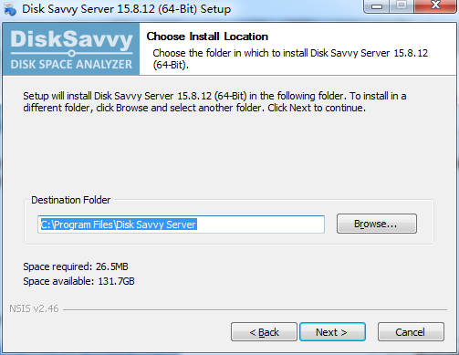 Disk Savvy Server