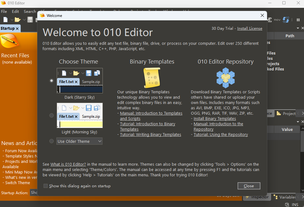 十六进制编辑器010Editor