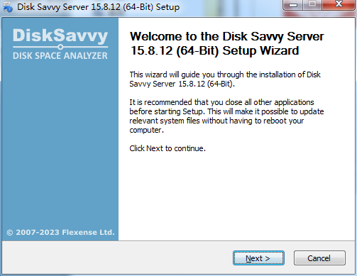 Disk Savvy Server