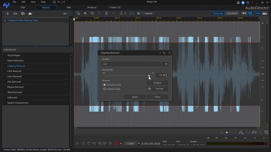 AudioDirector 365