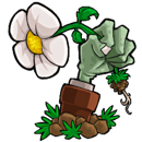 植物大战僵尸年度版修改器正式版1.2官方版