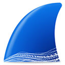 Wireshark正式版4.2.5官方版